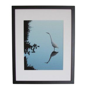 NWT Framed Limited Edition Photography - Egret Napa Wetlands